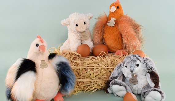 image de la Collection 